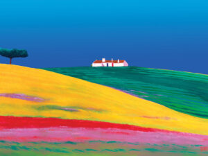 MONTE ALENTEJANO COM PAPOILAS