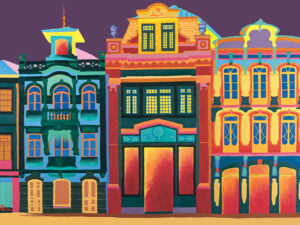 AVEIRO NOTURNO (passeio das Vaidosas)